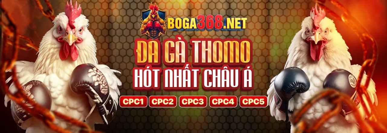 Biểu đồ thứ hạng bài poker